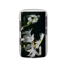 Dröm- blackberry fodral för daisy