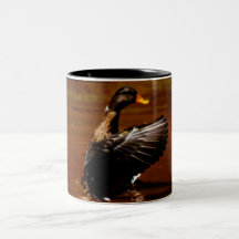 Drömma av flyg kaffe kopp