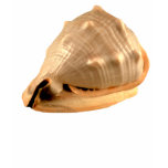 Drottninghjälm