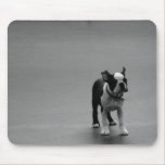 DRU-valpboston terrier Musmattor