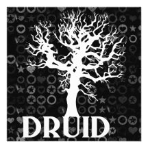 Druid Tillkännagivande