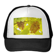 DruvaVinekonst Baseball Hat