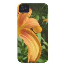 DSC03195.JPG Case-Mate iPhone 4 CASE