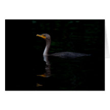 Dubbla krönad Cormorant 02 Hälsningskort