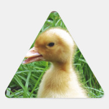 Ducka i gräset triangle stickers