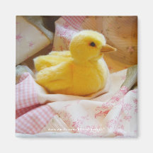 Ducklingmagnet Magneter För Kylskåp