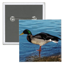 ducky knapp med nål