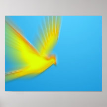 duif 03 posters