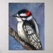 Dunig hackspett print