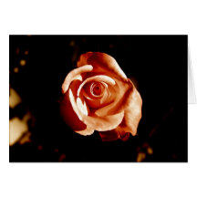 Dunkel rosa ros hälsningskort