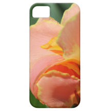 Dvärg- Canna lilja som namnges Corsica iPhone 5 Case-Mate Fodraler