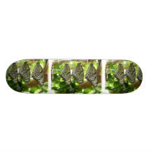 Dyka upp från kokongSkateboards