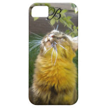 Dyrbart fodral för kattungeMonogramiPhone 5 iPhone 5 Case-Mate Skydd