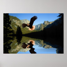 Eagle-Flight-8 Affischer