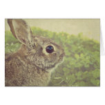 Easterbunny Hälsningskort