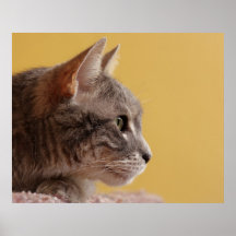 Eddie (profilera), print