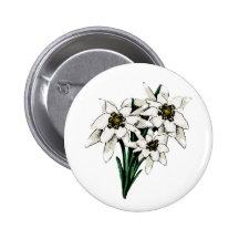 Edelweiss blommor pins