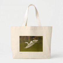 Egret Kassar