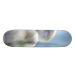 Egret Skateboard