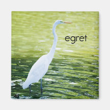 Egretkylskåpmagnet Kylskåpsnagnet