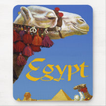 Egypten Mus Matta