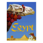 Egypten Vykort