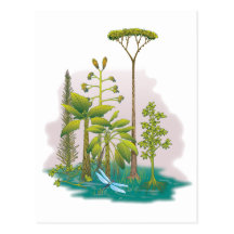 Ekologi: plantera ett träd - vykort