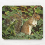 Ekorre Mousepad Mus Mattor