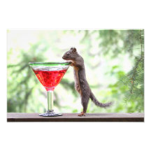 Ekorre som dricker en coctail foto