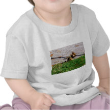 Ekorre vid vägen t shirts