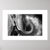 Elefant #1 posters