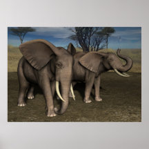 elefant affischer