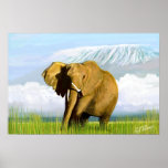 ELEFANT AFFISCHER
