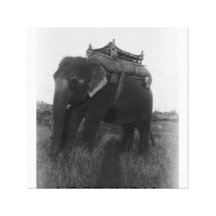Elefant BORTTAPPADA INDIEN Canvasdukar Med Gallerikvalitet