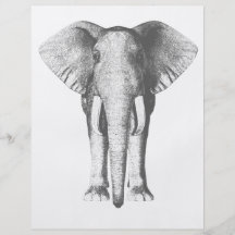 Elefant i svartvitt flyg blad