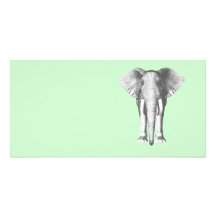 Elefant i svartvitt hälsningskort med foto