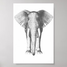 Elefant i svartvitt posters