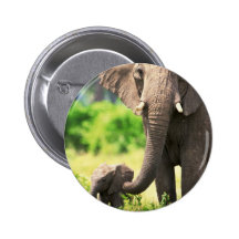 Elefant och baby nål