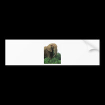 Elefant som precis omkring strövar omkring bildekaler