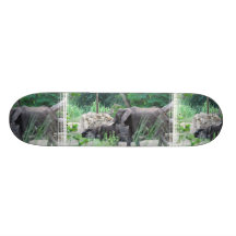 ElefantfamiljSkateboard