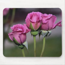 Elegant lavendel steg 650 mus mattor