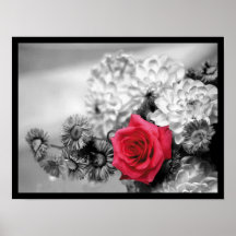 Elegant röd ros print