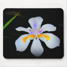 Elegant vitblomma på svart bakgrund Mousepad Musmatta