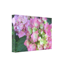 Eleganta rosa vanlig hortensia sträckta kanvas tryck