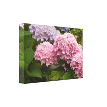 Eleganta vanlig hortensia canvasdukar med gallerikvalitet