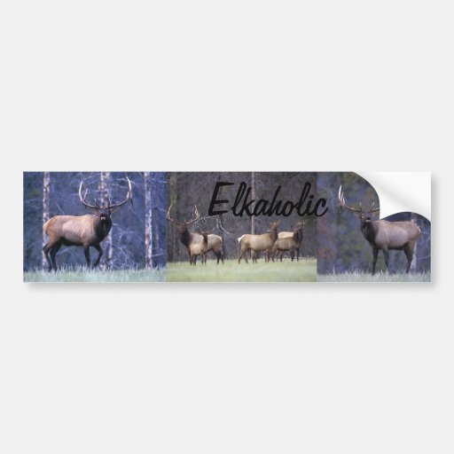 Elkaholic Bildekal