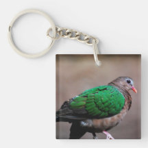 Emerald Dove Acrylic Key Chain