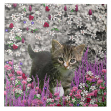 Emma i blommor mig - lite grå kattunge kakelplatta av kerami