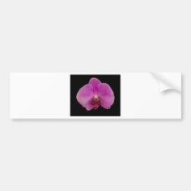 En älskvärd delikat violett flower. bildekaler