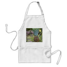 En ananas förkläden
